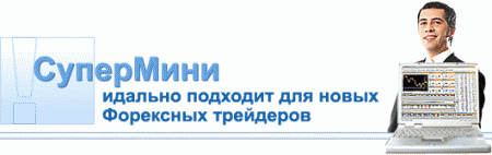 Форекс-трейдинг для новичков Форекс-трейдинг для новичков